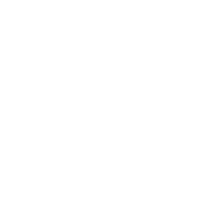 Settings Icon