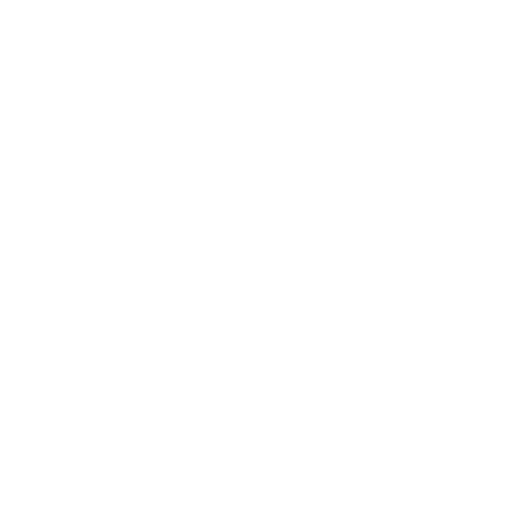 Settings Icon